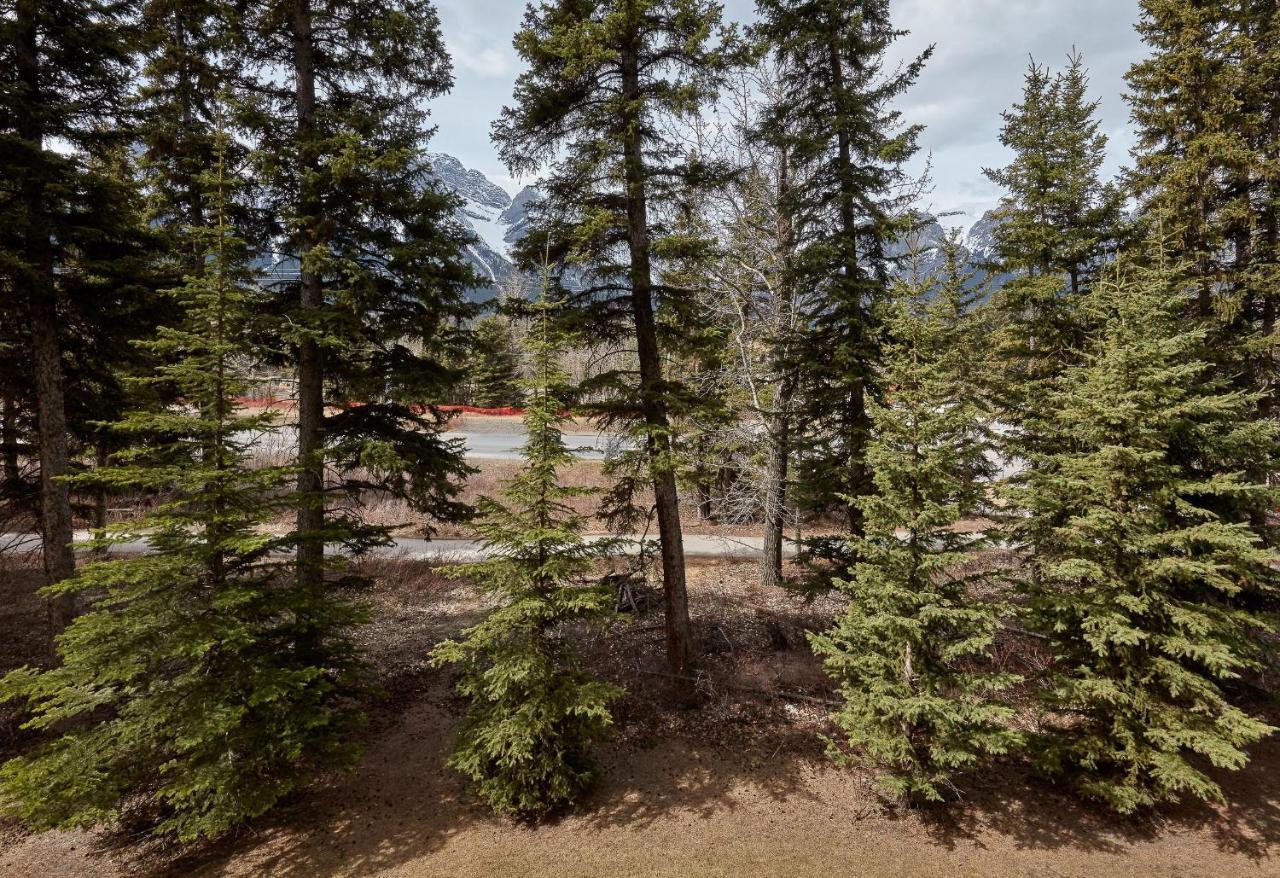 Newly Renovated Grizzly Lodge, Spacious 3Br 2Ba With Open Pool, Hot Tub Canmore Zewnętrze zdjęcie